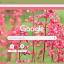 Coral Bells  screen for extension Chrome web store in OffiDocs Chromium