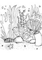 Free download Coral Reef Sketch free photo or picture to be edited with GIMP online image editor