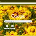 Coreopsis Lanceolata  screen for extension Chrome web store in OffiDocs Chromium