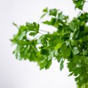 Coriander  screen for extension Chrome web store in OffiDocs Chromium