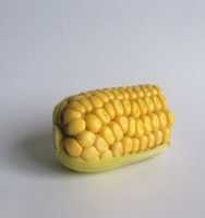 Free download corn-2101191 free photo or picture to be edited with GIMP online image editor