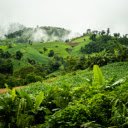 Corn and banana fields  screen for extension Chrome web store in OffiDocs Chromium