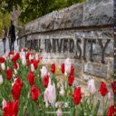 Cornell University MeaVana  screen for extension Chrome web store in OffiDocs Chromium