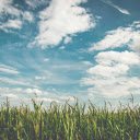 cornfield and sky  screen for extension Chrome web store in OffiDocs Chromium
