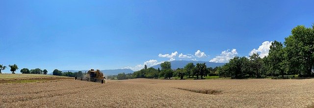 Free download cornfield harvest agriculture free picture to be edited with GIMP free online image editor