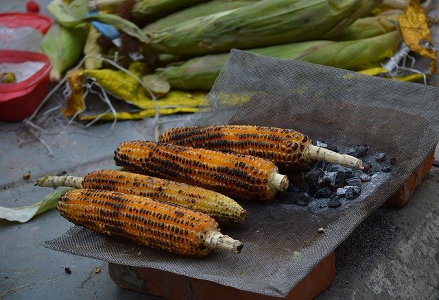Free download corn grilled corn street food free picture to be edited with GIMP free online image editor