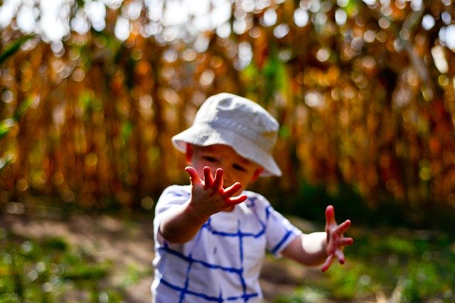 قم بتنزيل صورة مجانية لسقوط الطفل في متاهة الذرة الطبيعية لتحريرها باستخدام محرر الصور المجاني عبر الإنترنت GIMP
