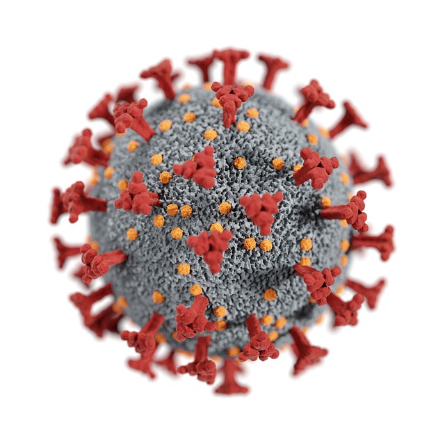 Téléchargement gratuit d'une image gratuite d'infection par le coronavirus covid 19 à modifier avec l'éditeur d'images en ligne gratuit GIMP