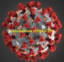 Free download Coronavirus Tips free photo or picture to be edited with GIMP online image editor