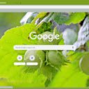 Corylus  screen for extension Chrome web store in OffiDocs Chromium