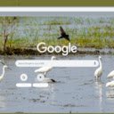 Co Trang  screen for extension Chrome web store in OffiDocs Chromium