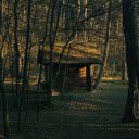 cottage nestled in a forest of maple trees during autumn  screen for extension Chrome web store in OffiDocs Chromium