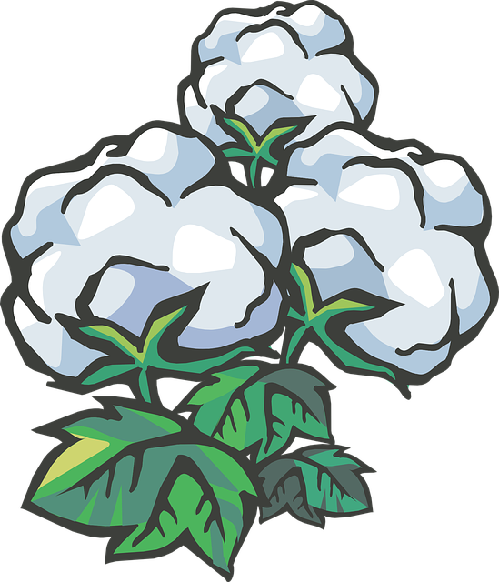 Free download Cotton Ball - Free vector graphic on Pixabay free illustration to be edited with GIMP free online image editor