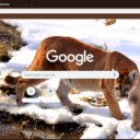Cougar  screen for extension Chrome web store in OffiDocs Chromium
