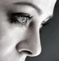 Free download Counselling in West London free photo or picture to be edited with GIMP online image editor