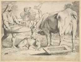 Free download Country Scene with a Peasant, Cow and Calf free photo or picture to be edited with GIMP online image editor
