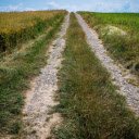 Countryside trail  screen for extension Chrome web store in OffiDocs Chromium