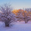 Covered by white snow  screen for extension Chrome web store in OffiDocs Chromium