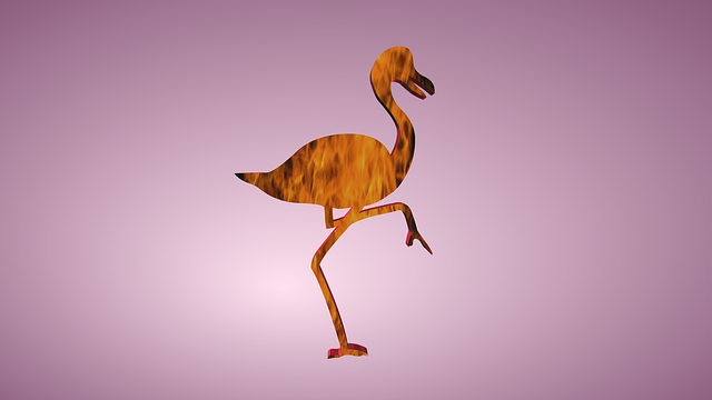 Kostenloser Download Crane Bird Nature - kostenloses kostenloses Foto oder Bild zur Bearbeitung mit GIMP Online-Bildbearbeitung