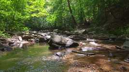 Muat turun percuma Creek Brook Stream - video percuma untuk diedit dengan editor video dalam talian OpenShot