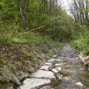 creek in the forest  screen for extension Chrome web store in OffiDocs Chromium