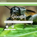 Cricket  screen for extension Chrome web store in OffiDocs Chromium
