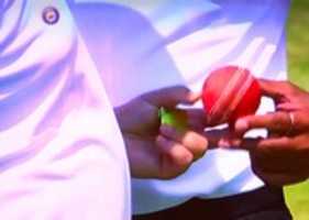 Free download Cricket Ball Image Umpire free photo or picture to be edited with GIMP online image editor