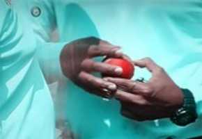 Free download Cricket Ball Image With Umpire free photo or picture to be edited with GIMP online image editor