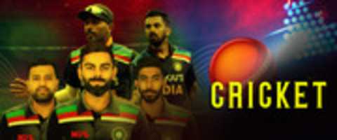 Free download Cricket free photo or picture to be edited with GIMP online image editor