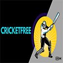 Cricket Player Interface  screen for extension Chrome web store in OffiDocs Chromium