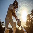 Cricket Player Interface at Webcric  screen for extension Chrome web store in OffiDocs Chromium