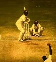 Free download Cricket Shot free photo or picture to be edited with GIMP online image editor
