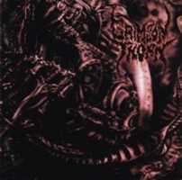 Free download Crimson Thorn Dissection 1997 CD 2 free photo or picture to be edited with GIMP online image editor