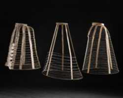Free download Crinoline free photo or picture to be edited with GIMP online image editor