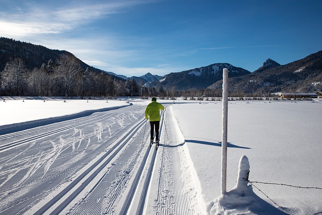 Free download cross country skiing trail track free picture to be edited with GIMP free online image editor