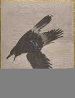 Free download Crow Flying in the Snow free photo or picture to be edited with GIMP online image editor