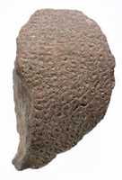 Free download Crown with discs free photo or picture to be edited with GIMP online image editor