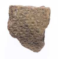 Free download Crown with discs, two adjoining surfaces free photo or picture to be edited with GIMP online image editor