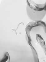 Free download Cruet frame and two cruets with covers free photo or picture to be edited with GIMP online image editor