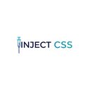 CSS Injector  screen for extension Chrome web store in OffiDocs Chromium