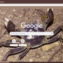 Cua  screen for extension Chrome web store in OffiDocs Chromium