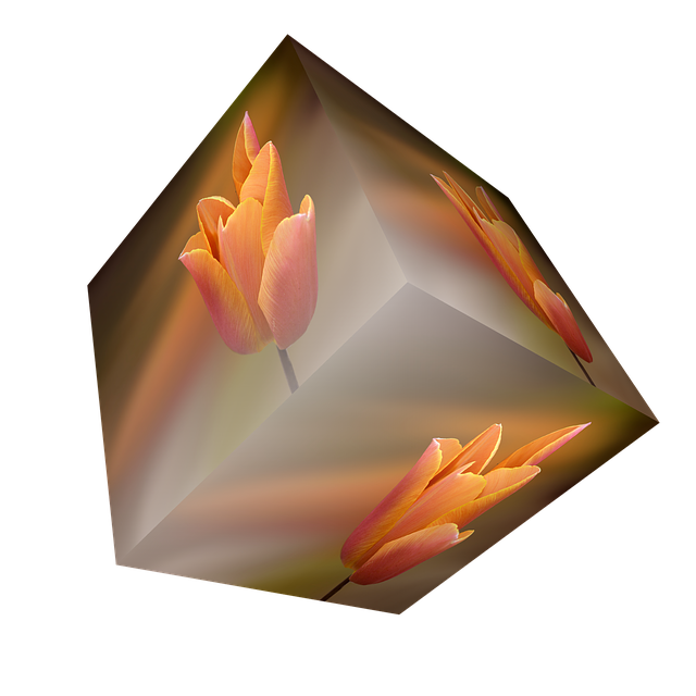 Free download Cube Flower Tulip -  free illustration to be edited with GIMP free online image editor