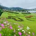Cultivated Flora Along Gregory Lake  screen for extension Chrome web store in OffiDocs Chromium