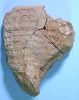 Free download Cuneiform tablet: fragment of a text containing incantations free photo or picture to be edited with GIMP online image editor