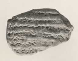 Free download Cuneiform tablet: receipt for dates free photo or picture to be edited with GIMP online image editor