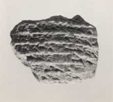 Free download Cuneiform tablet: receipt for silver free photo or picture to be edited with GIMP online image editor