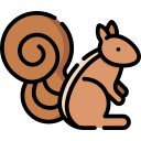 Curious Squirrel on a Branch  screen for extension Chrome web store in OffiDocs Chromium