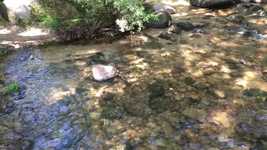 Free download Current Water -  free video to be edited with OpenShot online video editor