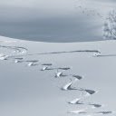 Curves in the snow  screen for extension Chrome web store in OffiDocs Chromium