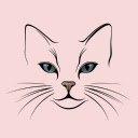 Cute cat face  screen for extension Chrome web store in OffiDocs Chromium